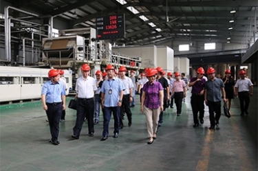 2018年9月12日，全國政協(xié)常委、提案委員會(huì)副主任郭庚茂、支樹平率領(lǐng)調(diào)研組蒞臨公司開展調(diào)研