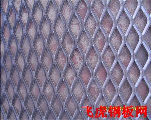 贛榆平臺踏板網(wǎng)-04