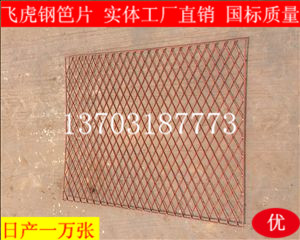 建筑鋼笆片哪里價(jià)格最便宜、質(zhì)量有保證-04