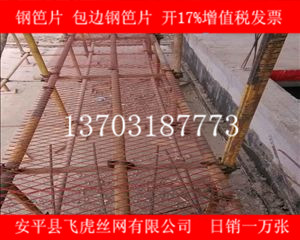 建筑鋼笆片哪里價(jià)格最便宜、質(zhì)量有保證